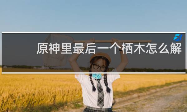 原神里最后一个栖木怎么解