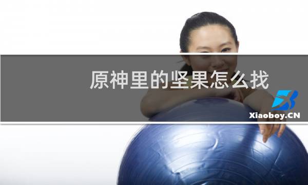 原神里的坚果怎么找