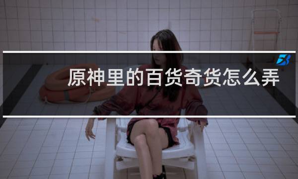 原神里的百货奇货怎么弄
