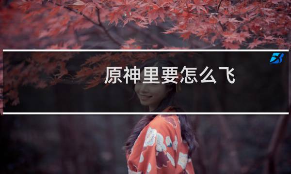 原神里要怎么飞