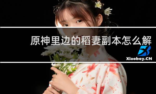 原神里边的稻妻副本怎么解