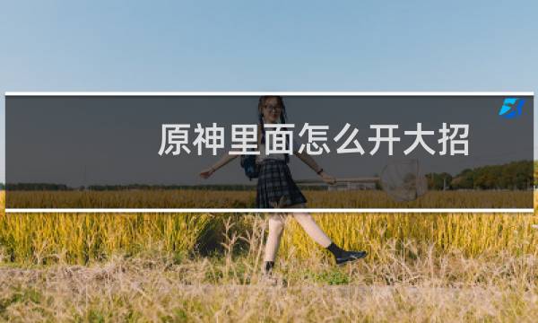 原神里面怎么开大招