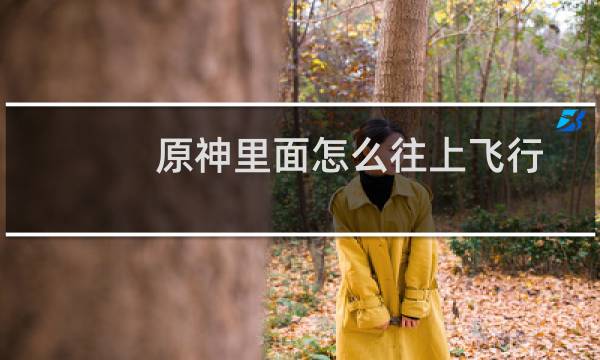 原神里面怎么往上飞行