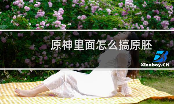 原神里面怎么搞原胚