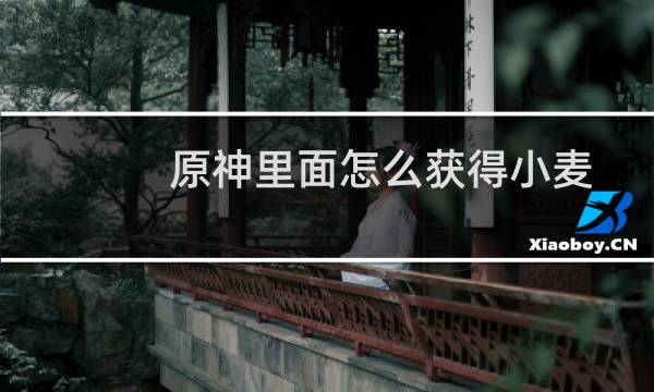 原神里面怎么获得小麦