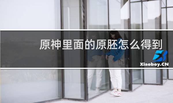 原神里面的原胚怎么得到