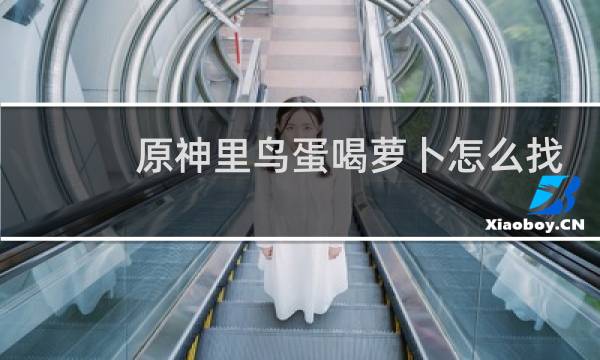原神里鸟蛋喝萝卜怎么找