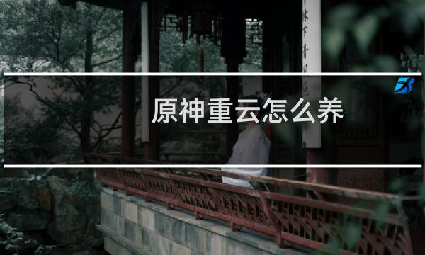 原神重云怎么养