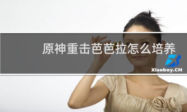 原神重击芭芭拉怎么培养