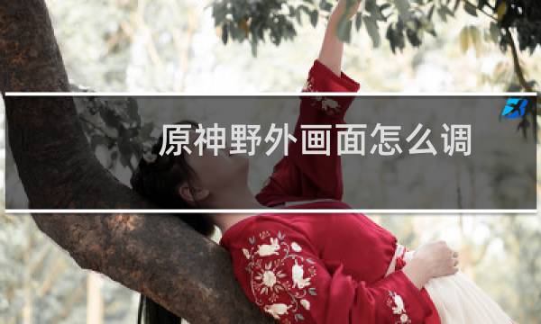 原神野外画面怎么调