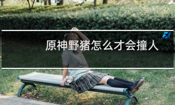 原神野猪怎么才会撞人