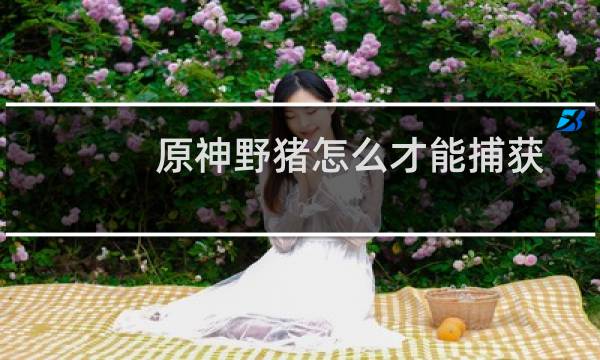 原神野猪怎么才能捕获