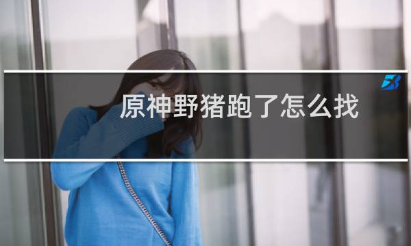 原神野猪跑了怎么找