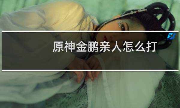 原神金鹏亲人怎么打