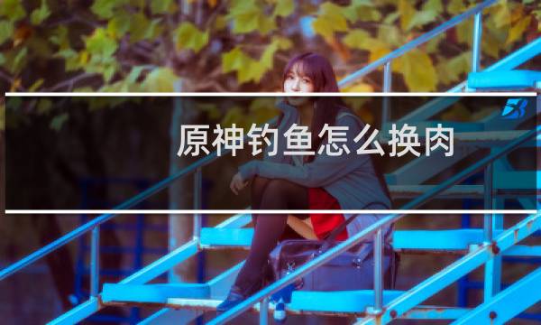 原神钓鱼怎么换肉