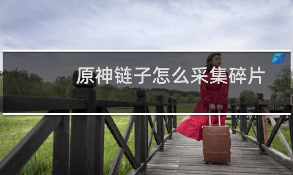 原神链子怎么采集碎片