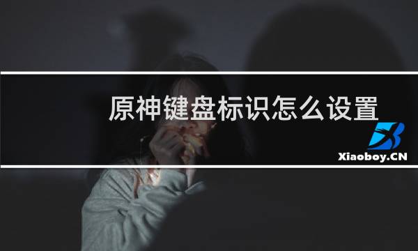 原神键盘标识怎么设置