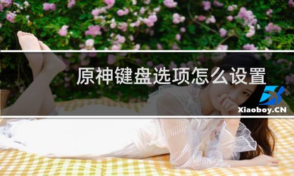 原神键盘选项怎么设置