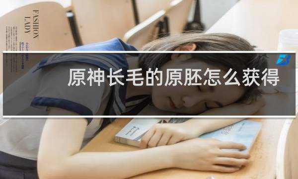原神长毛的原胚怎么获得