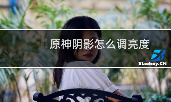 原神阴影怎么调亮度