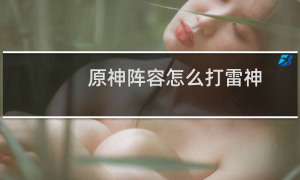 原神阵容怎么打雷神