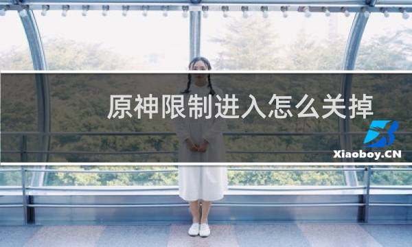原神限制进入怎么关掉