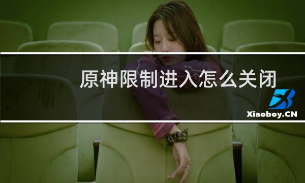 原神限制进入怎么关闭