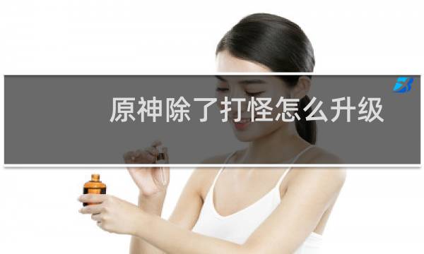 原神除了打怪怎么升级