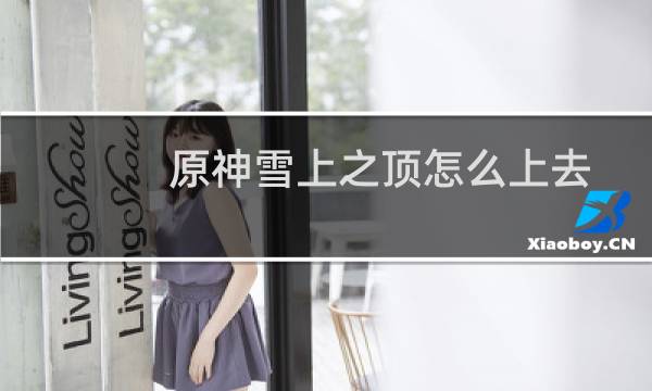 原神雪上之顶怎么上去