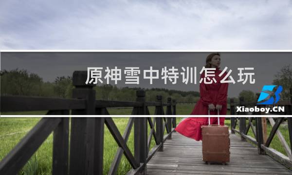 原神雪中特训怎么玩