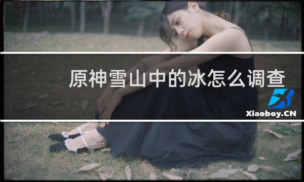 原神雪山中的冰怎么调查