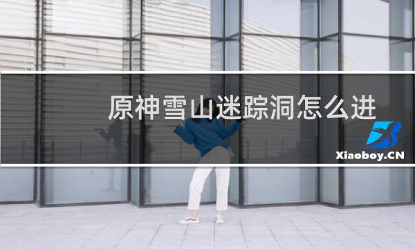 原神雪山迷踪洞怎么进