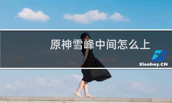 原神雪峰中间怎么上