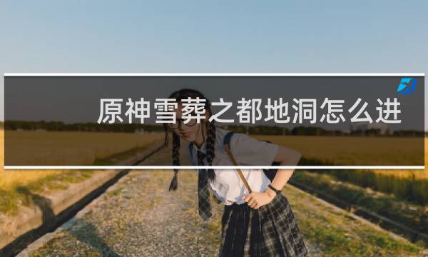 原神雪葬之都地洞怎么进