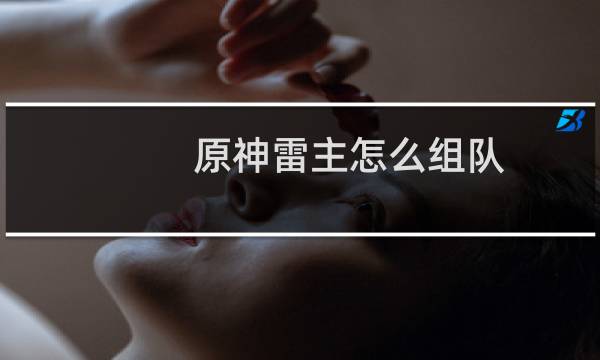 原神雷主怎么组队
