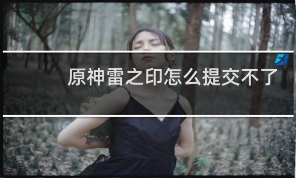 原神雷之印怎么提交不了