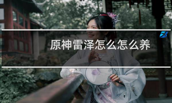 原神雷泽怎么怎么养