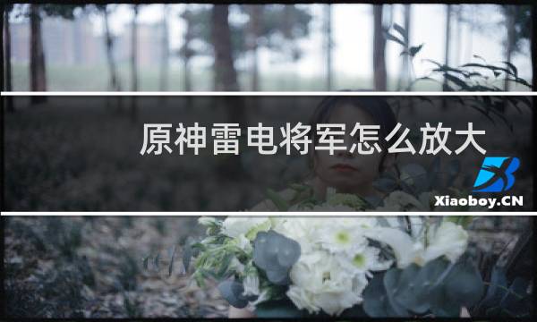 原神雷电将军怎么放大