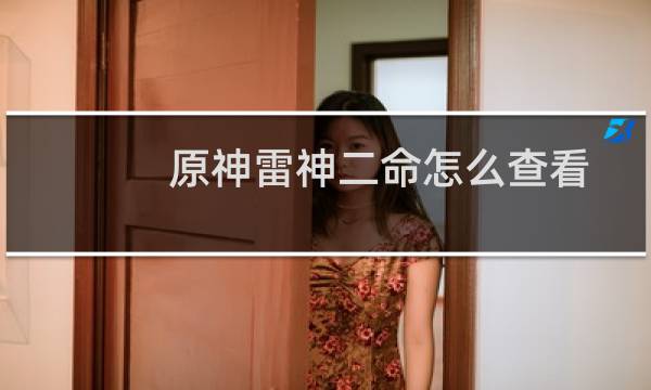 原神雷神二命怎么查看