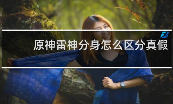 原神雷神分身怎么区分真假