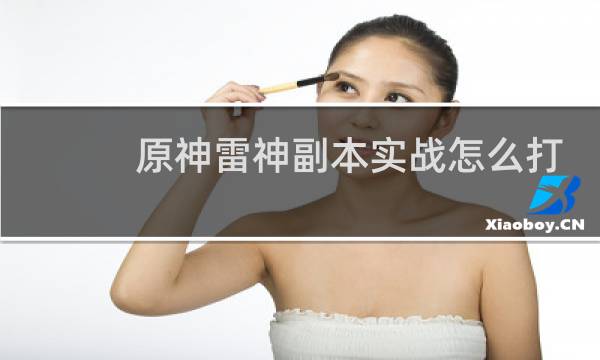 原神雷神副本实战怎么打