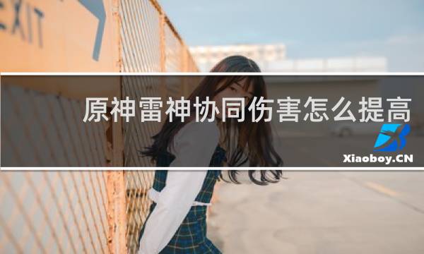 原神雷神协同伤害怎么提高