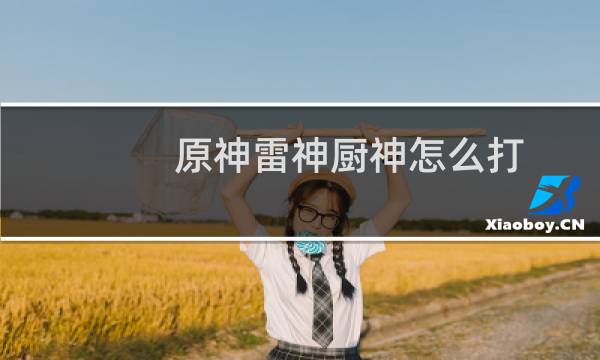 原神雷神厨神怎么打