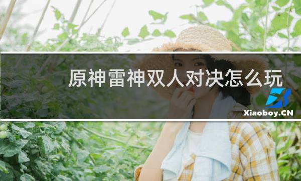 原神雷神双人对决怎么玩
