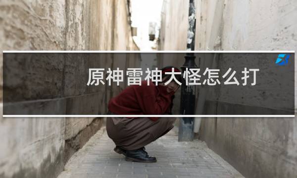 原神雷神大怪怎么打