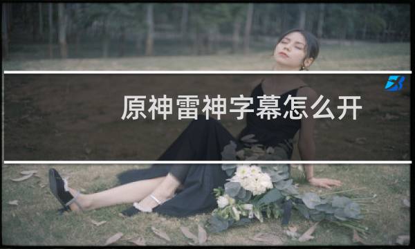 原神雷神字幕怎么开