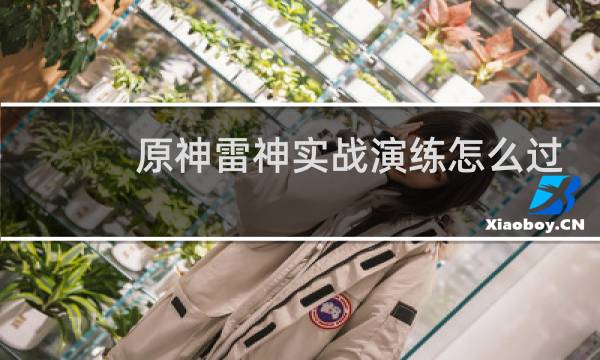 原神雷神实战演练怎么过