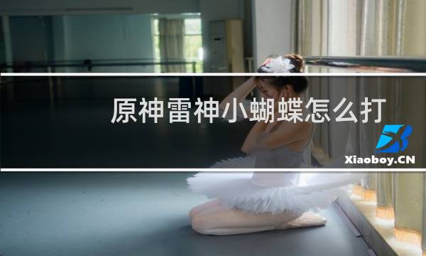 原神雷神小蝴蝶怎么打