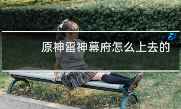 原神雷神幕府怎么上去的