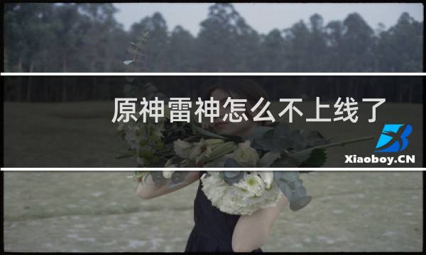 原神雷神怎么不上线了